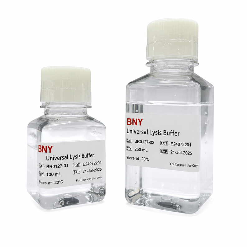 Universal Lysis Buffer