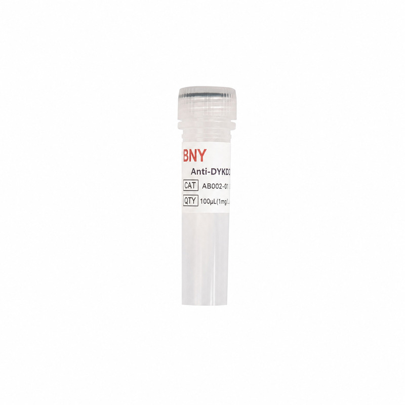 Anti-DYKDDDDK Antibody