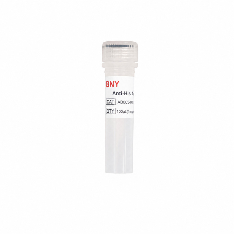 Anti-His Antibody