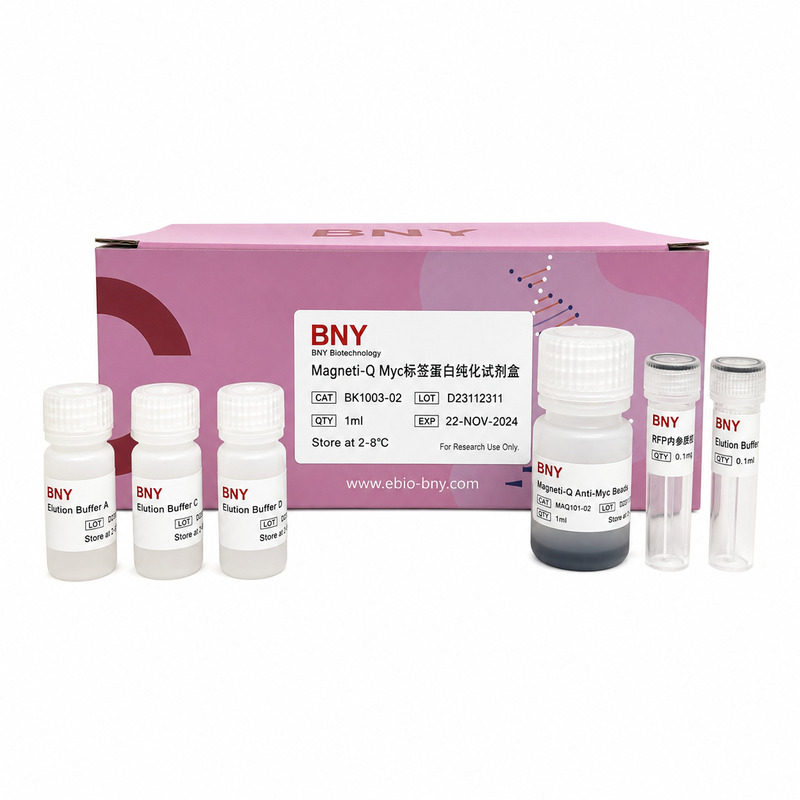 Myc 标签蛋白纯化试剂盒 (磁珠法)