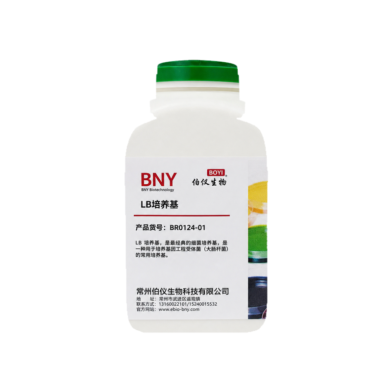 LB 培养基