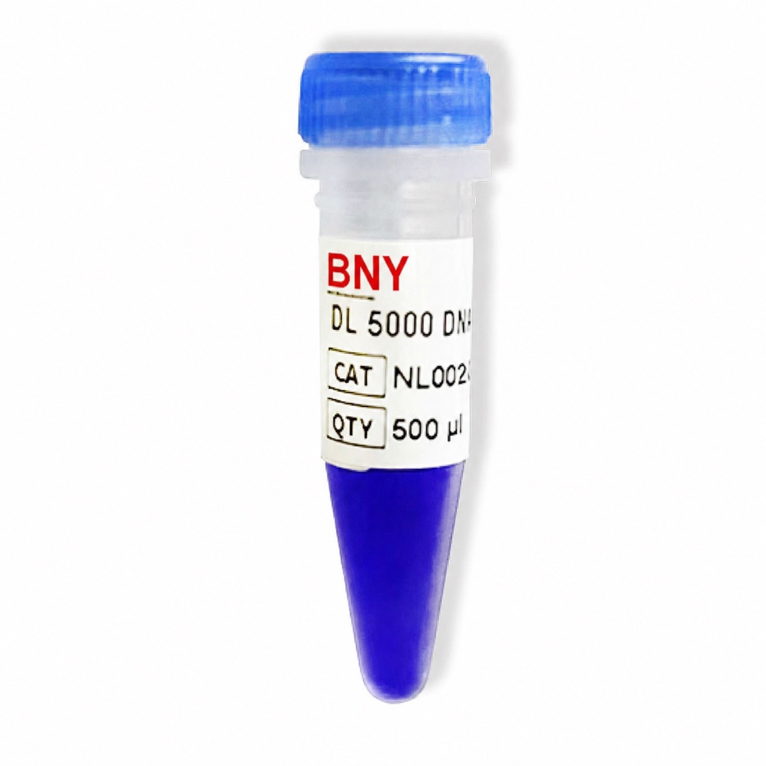 DL5000 DNA Marker