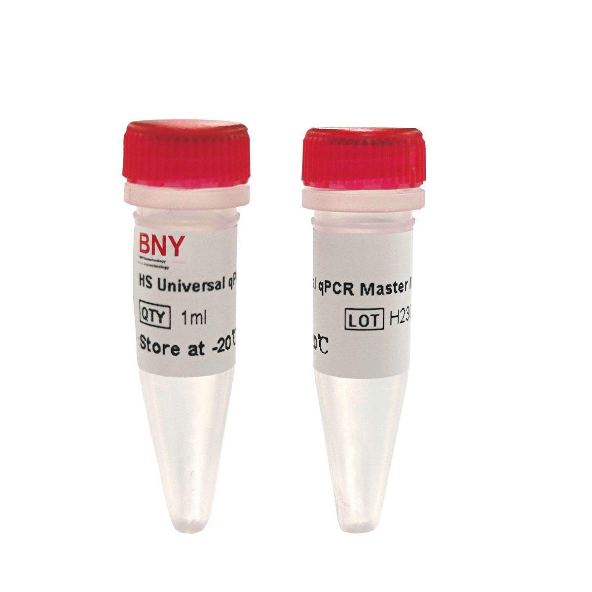 HS Universal qPCR Master Mix (ROX plus)