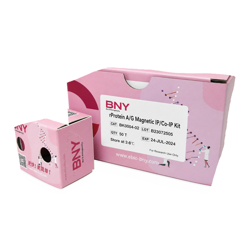 rProteinA/G Magnetic IP / Co-IP Kit