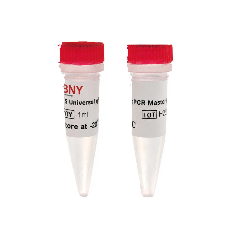 HS Universal qPCR Master Mix