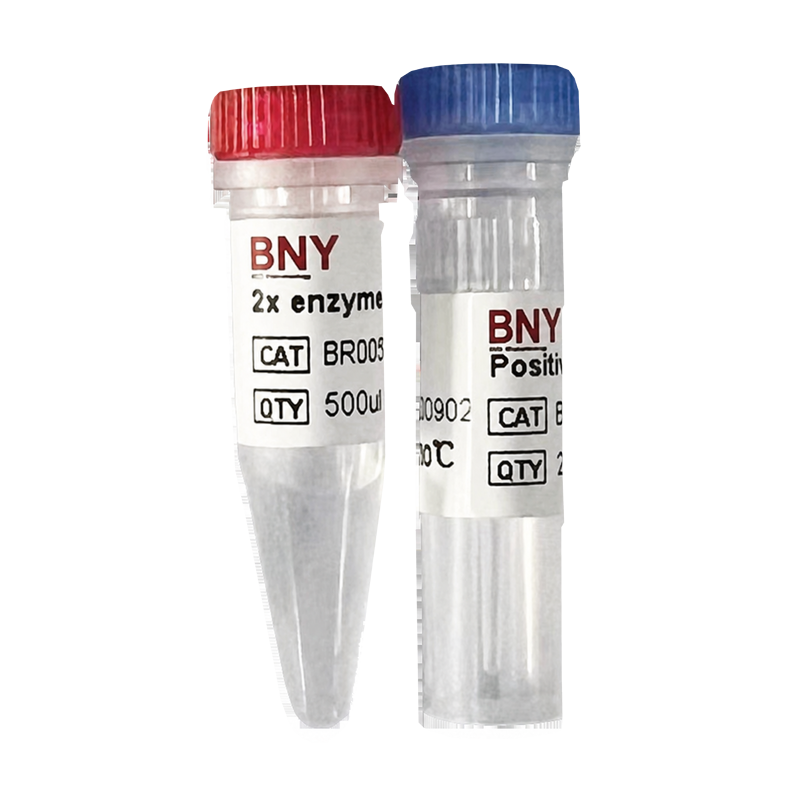 DNA Assembly Cloning Kit