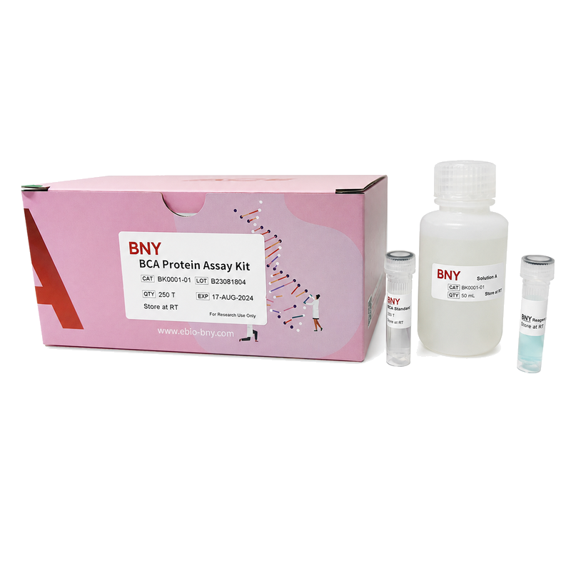 BCA Protein Assay Kit