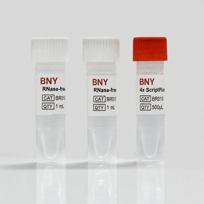 qPCR 反转录混合液