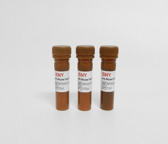 Anti Mouse Fab Nanobody-HRP (IP)