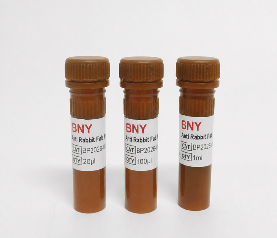 Anti Rabbit Fab Nanobody-HRP (IP)
