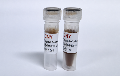 Control Nb Beads (IP)